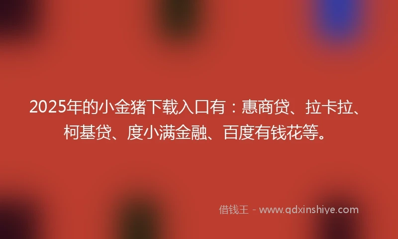 2025年的小金猪下载入口有：惠商贷、拉卡拉、柯基贷、度小满金融、百度有钱花等。