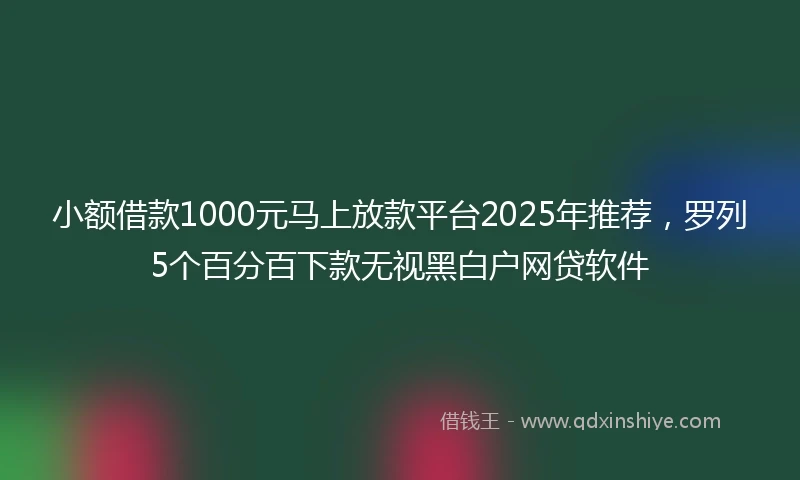 小额借款1000元马上放款平台2025年推荐，罗列5个百分百下款无视黑白户网贷软件