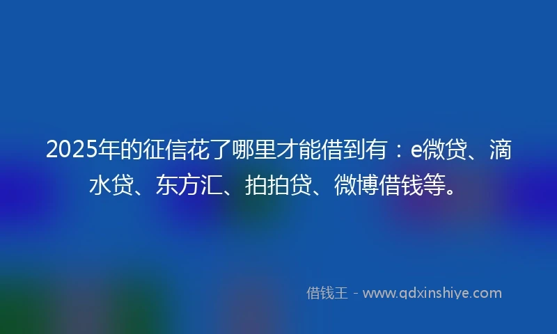 2025年的征信花了哪里才能借到有：e微贷、滴水贷、东方汇、拍拍贷、微博借钱等。