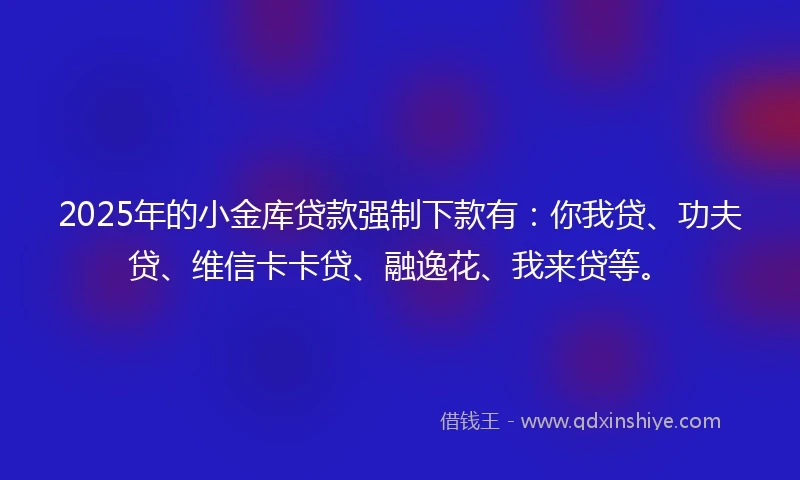 2025年的小金库贷款强制下款有：你我贷、功夫贷、维信卡卡贷、融逸花、我来贷等。