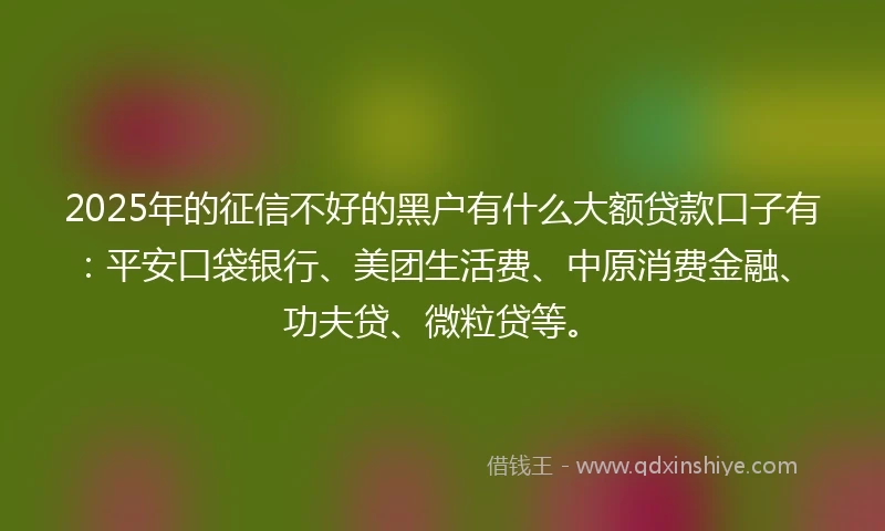 2025年的征信不好的黑户有什么大额贷款口子有：平安口袋银行、美团生活费、中原消费金融、功夫贷、微粒贷等。