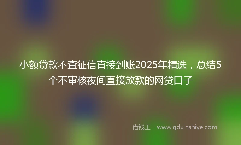 小额贷款不查征信直接到账2025年精选，总结5个不审核夜间直接放款的网贷口子