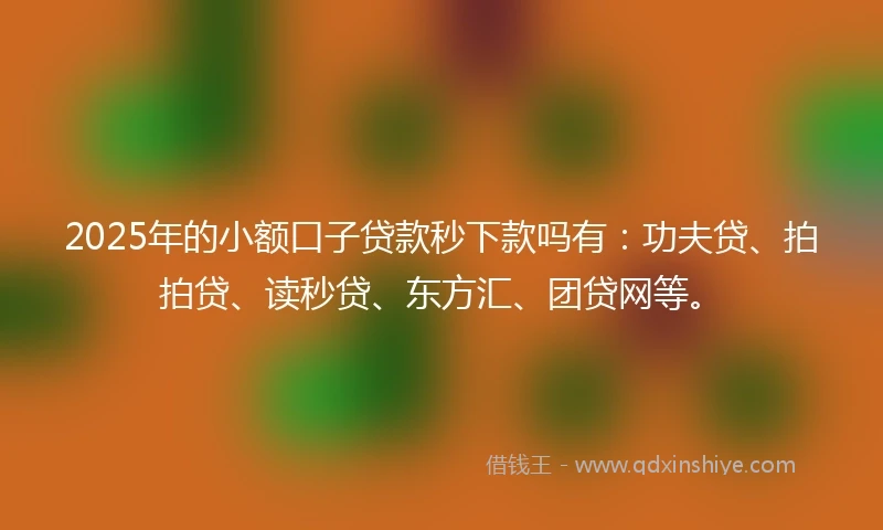 2025年的小额口子贷款秒下款吗有：功夫贷、拍拍贷、读秒贷、东方汇、团贷网等。