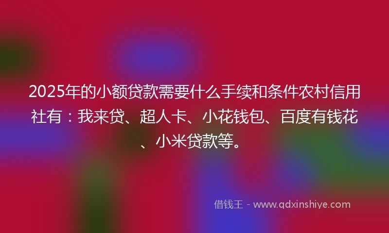 2025年的小额贷款需要什么手续和条件农村信用社有：我来贷、超人卡、小花钱包、百度有钱花、小米贷款等。