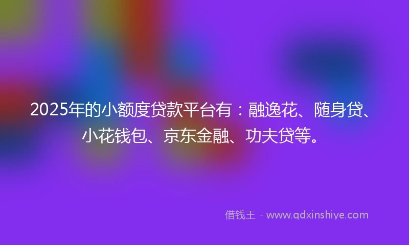 2025年的小额度贷款平台有：融逸花、随身贷、小花钱包、京东金融、功夫贷等。