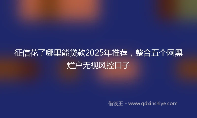 征信花了哪里能贷款2025年推荐，整合五个网黑烂户无视风控口子