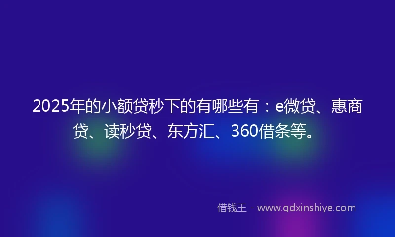 2025年的小额贷秒下的有哪些有：e微贷、惠商贷、读秒贷、东方汇、360借条等。