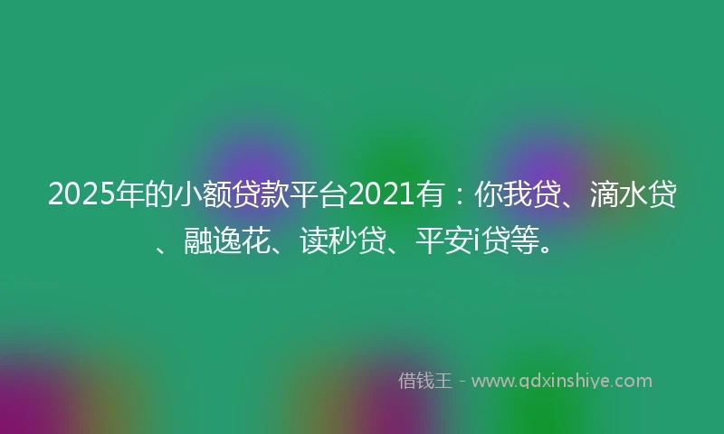 2025年的小额贷款平台2021有：你我贷、滴水贷、融逸花、读秒贷、平安i贷等。
