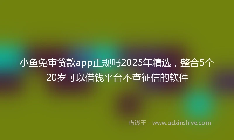 小鱼免审贷款app正规吗2025年精选，整合5个20岁可以借钱平台不查征信的软件