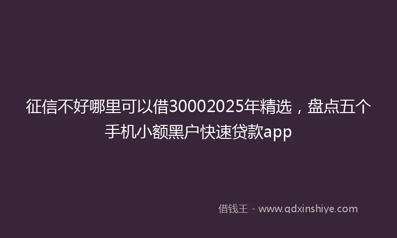 征信不好哪里可以借30002025年精选，盘点五个手机小额黑户快速贷款app