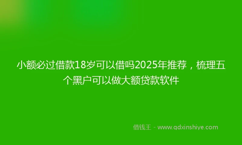 小额必过借款18岁可以借吗2025年推荐，梳理五个黑户可以做大额贷款软件