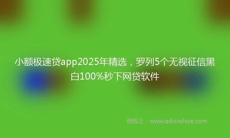 小额极速贷app2025年精选，罗列5个无视征信黑白100%秒下网贷软件