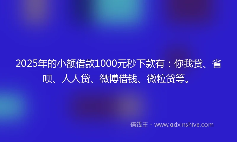 2025年的小额借款1000元秒下款有：你我贷、省呗、人人贷、微博借钱、微粒贷等。