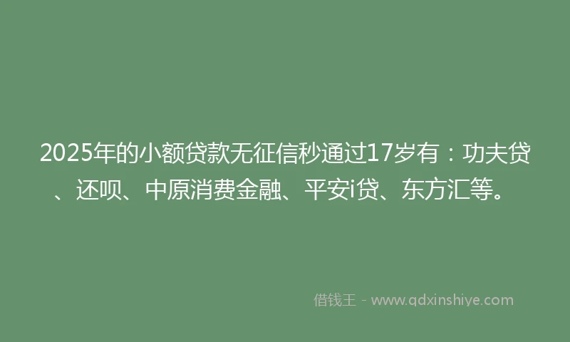 2025年的小额贷款无征信秒通过17岁有：功夫贷、还呗、中原消费金融、平安i贷、东方汇等。