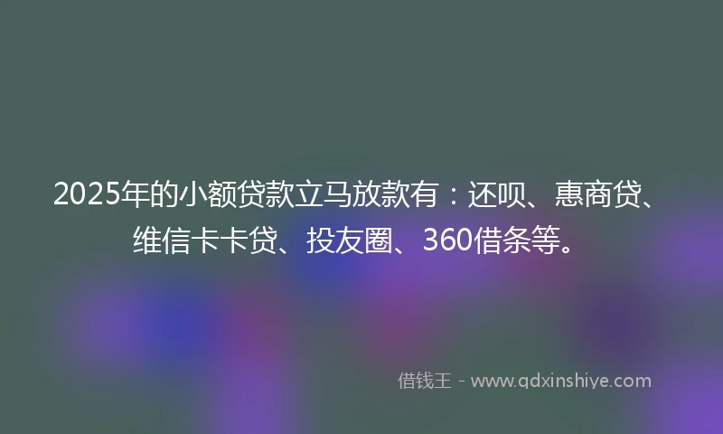 2025年的小额贷款立马放款有：还呗、惠商贷、维信卡卡贷、投友圈、360借条等。