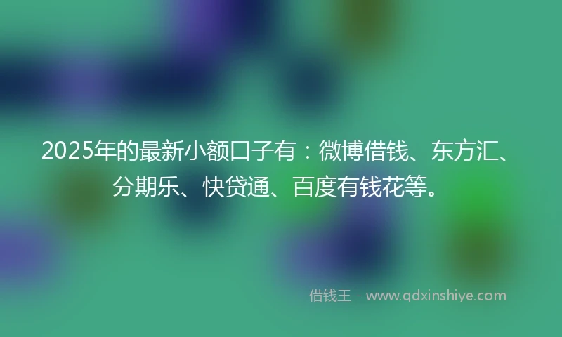 2025年的最新小额口子有：微博借钱、东方汇、分期乐、快贷通、百度有钱花等。