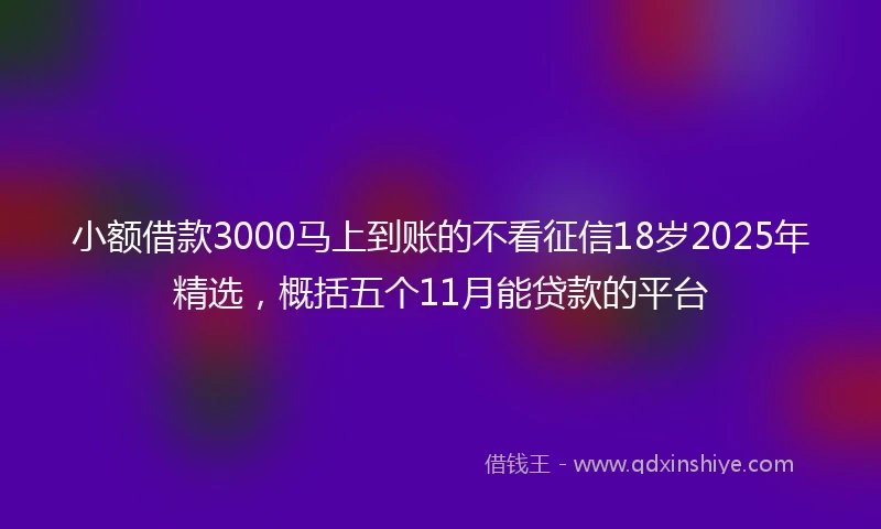 小额借款3000马上到账的不看征信18岁2025年精选，概括五个11月能贷款的平台