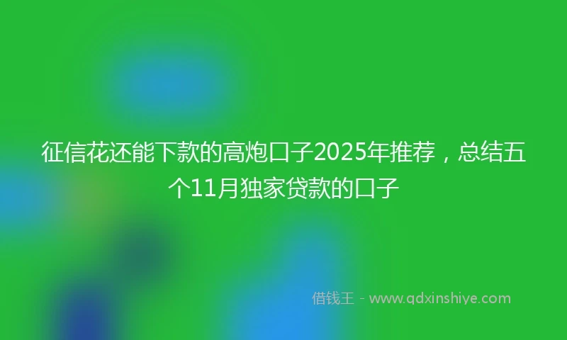 征信花还能下款的高炮口子2025年推荐，总结五个11月独家贷款的口子