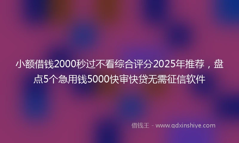 小额借钱2000秒过不看综合评分2025年推荐，盘点5个急用钱5000快审快贷无需征信软件