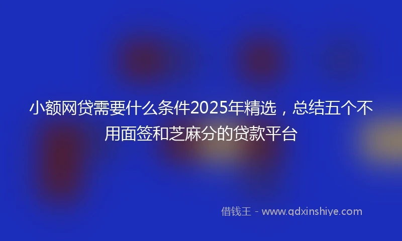 小额网贷需要什么条件2025年精选，总结五个不用面签和芝麻分的贷款平台