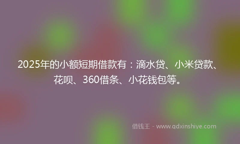 2025年的小额短期借款有：滴水贷、小米贷款、花呗、360借条、小花钱包等。