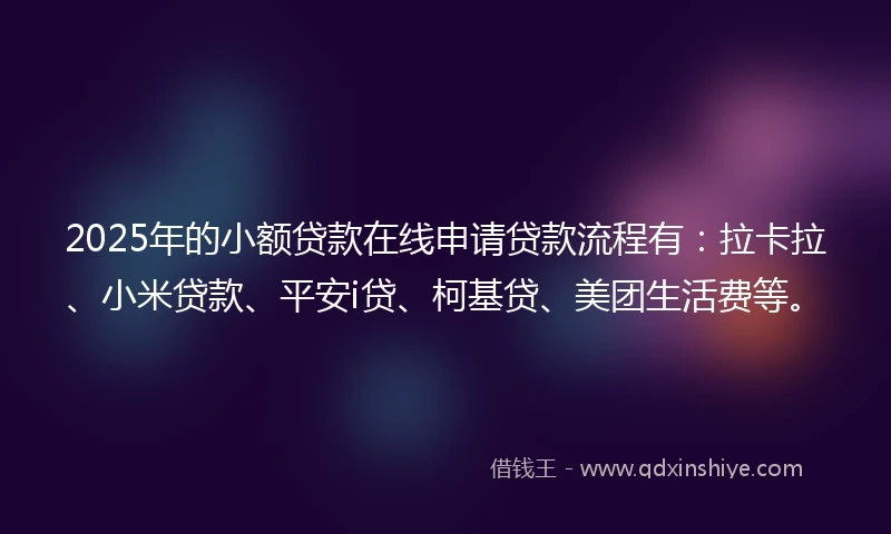 2025年的小额贷款在线申请贷款流程有：拉卡拉、小米贷款、平安i贷、柯基贷、美团生活费等。