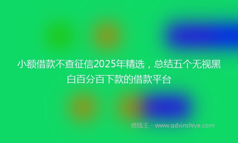 小额借款不查征信2025年精选，总结五个无视黑白百分百下款的借款平台