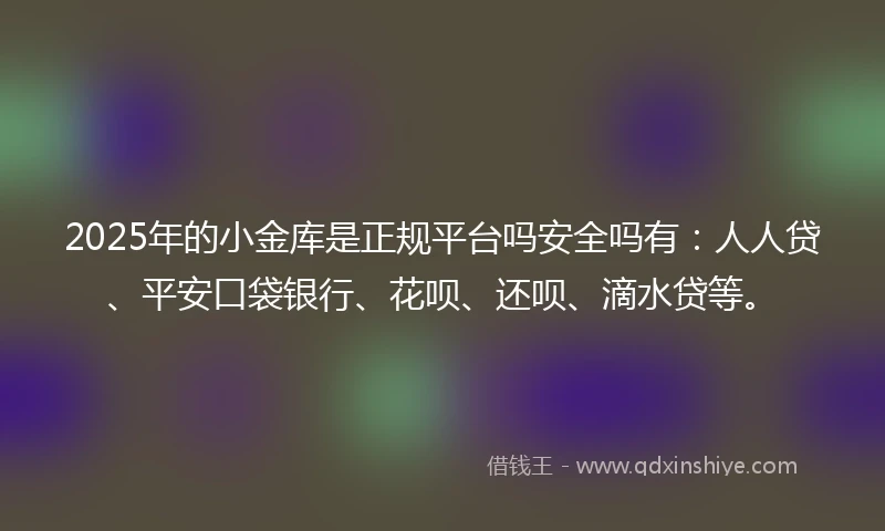 2025年的小金库是正规平台吗安全吗有：人人贷、平安口袋银行、花呗、还呗、滴水贷等。