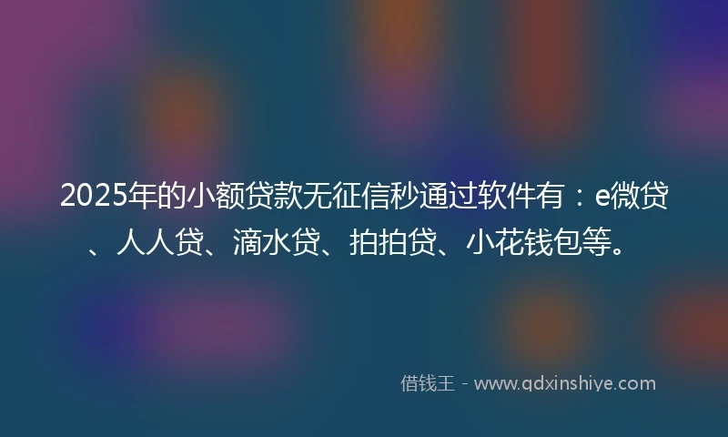 2025年的小额贷款无征信秒通过软件有：e微贷、人人贷、滴水贷、拍拍贷、小花钱包等。