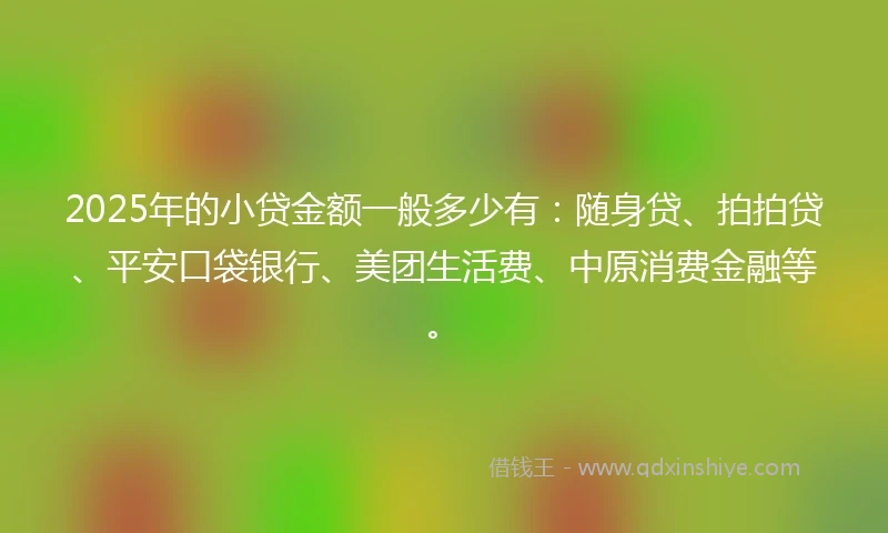 2025年的小贷金额一般多少有：随身贷、拍拍贷、平安口袋银行、美团生活费、中原消费金融等。