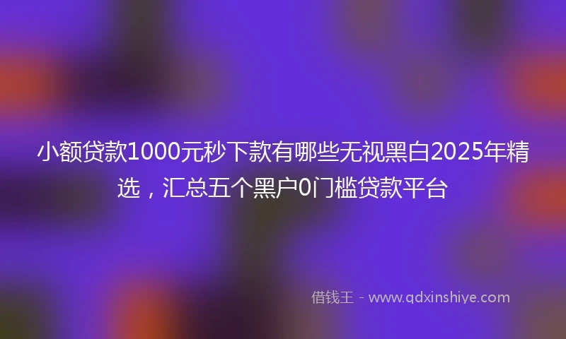 小额贷款1000元秒下款有哪些无视黑白2025年精选，汇总五个黑户0门槛贷款平台