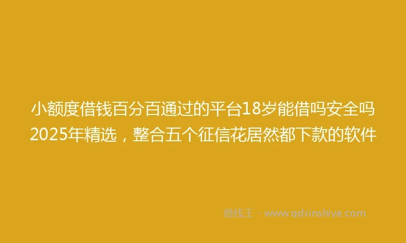 小额度借钱百分百通过的平台18岁能借吗安全吗2025年精选，整合五个征信花居然都下款的软件