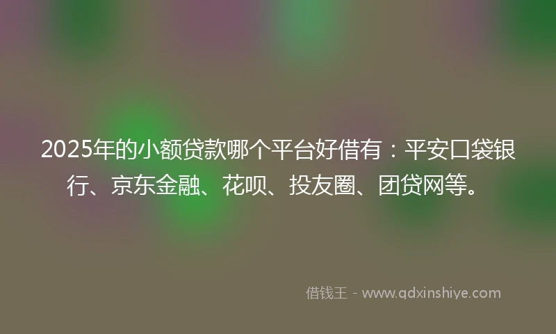 2025年的小额贷款哪个平台好借有：平安口袋银行、京东金融、花呗、投友圈、团贷网等。