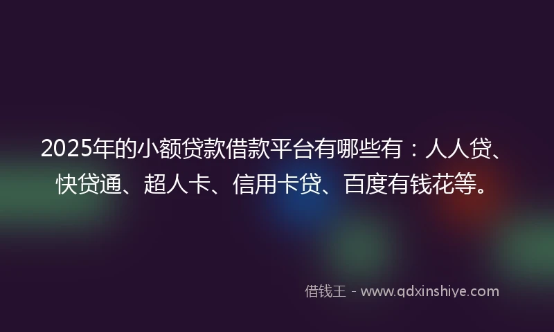 2025年的小额贷款借款平台有哪些有：人人贷、快贷通、超人卡、信用卡贷、百度有钱花等。