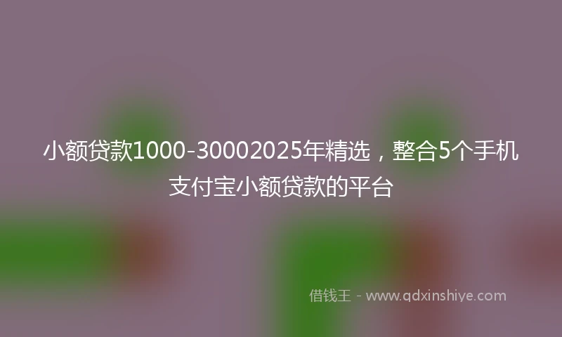 小额贷款1000-30002025年精选，整合5个手机支付宝小额贷款的平台