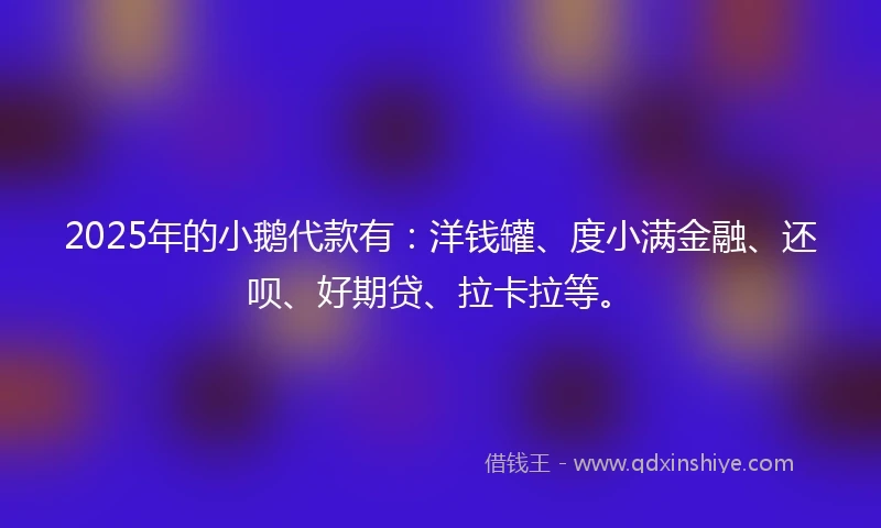 2025年的小鹅代款有：洋钱罐、度小满金融、还呗、好期贷、拉卡拉等。