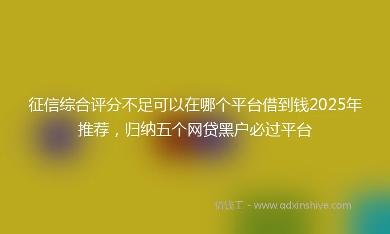 征信综合评分不足可以在哪个平台借到钱2025年推荐，归纳五个网贷黑户必过平台