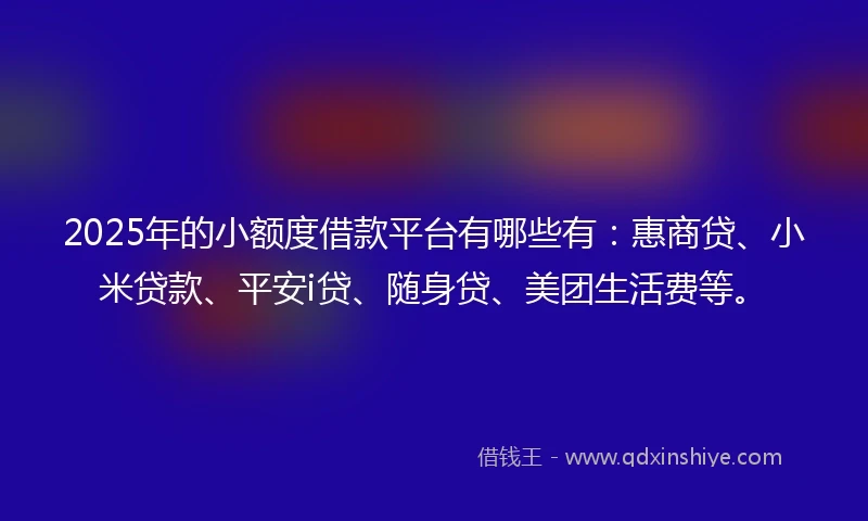 2025年的小额度借款平台有哪些有：惠商贷、小米贷款、平安i贷、随身贷、美团生活费等。