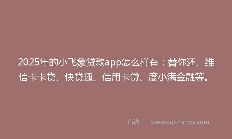 2025年的小飞象贷款app怎么样有：替你还、维信卡卡贷、快贷通、信用卡贷、度小满金融等。