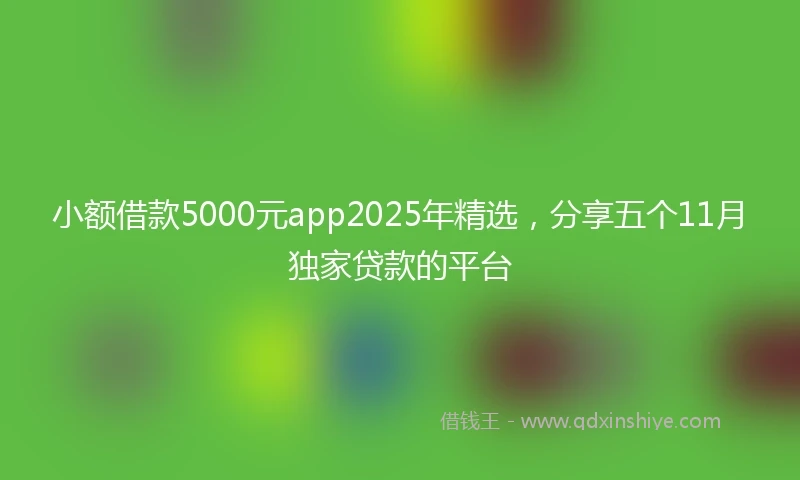 小额借款5000元app2025年精选，分享五个11月独家贷款的平台