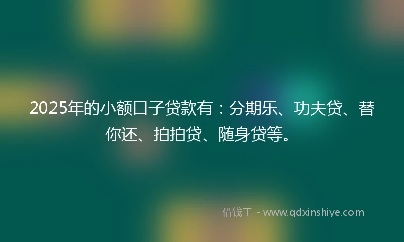 2025年的小额口子贷款有：分期乐、功夫贷、替你还、拍拍贷、随身贷等。