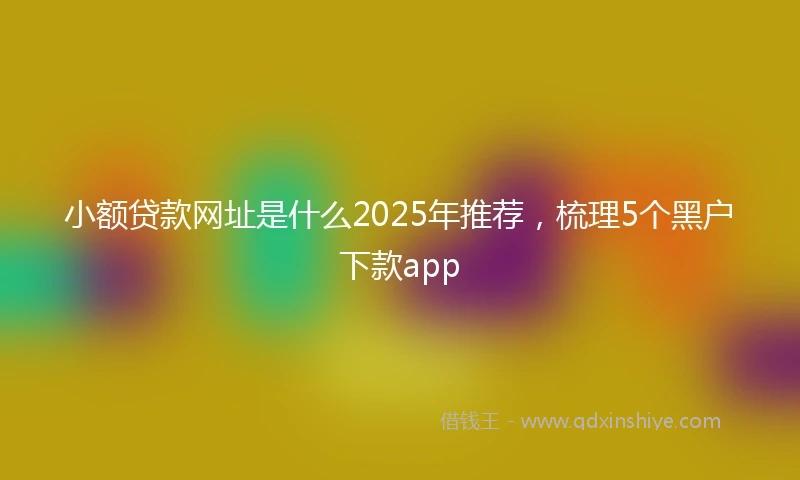 小额贷款网址是什么2025年推荐，梳理5个黑户下款app