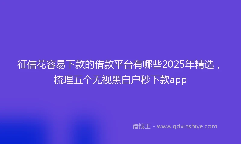 征信花容易下款的借款平台有哪些2025年精选，梳理五个无视黑白户秒下款app
