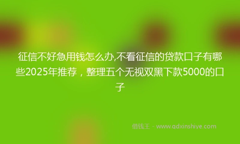 征信不好急用钱怎么办,不看征信的贷款口子有哪些2025年推荐，整理五个无视双黑下款5000的口子