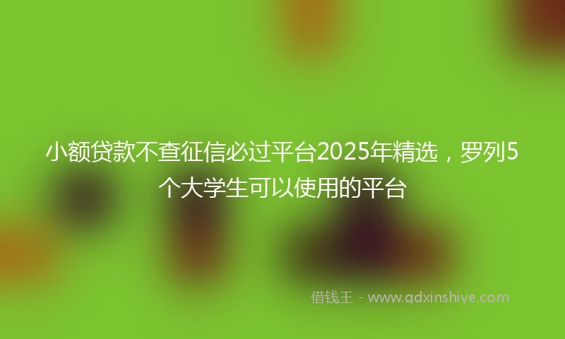 小额贷款不查征信必过平台2025年精选，罗列5个大学生可以使用的平台