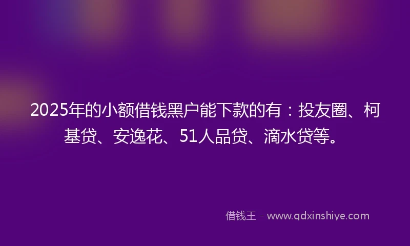2025年的小额借钱黑户能下款的有：投友圈、柯基贷、安逸花、51人品贷、滴水贷等。