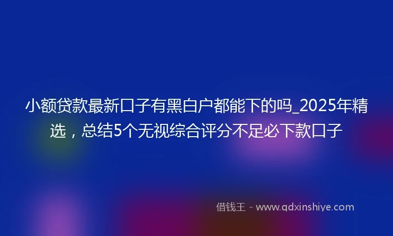 小额贷款最新口子有黑白户都能下的吗_2025年精选，总结5个无视综合评分不足必下款口子