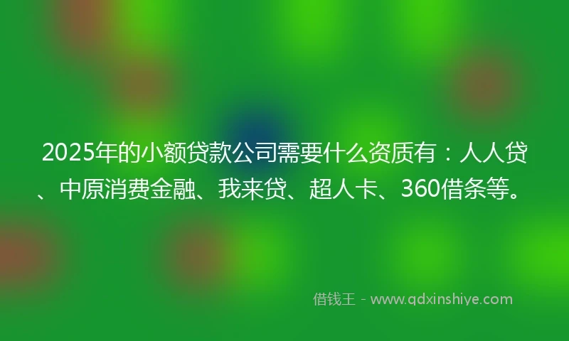 2025年的小额贷款公司需要什么资质有：人人贷、中原消费金融、我来贷、超人卡、360借条等。