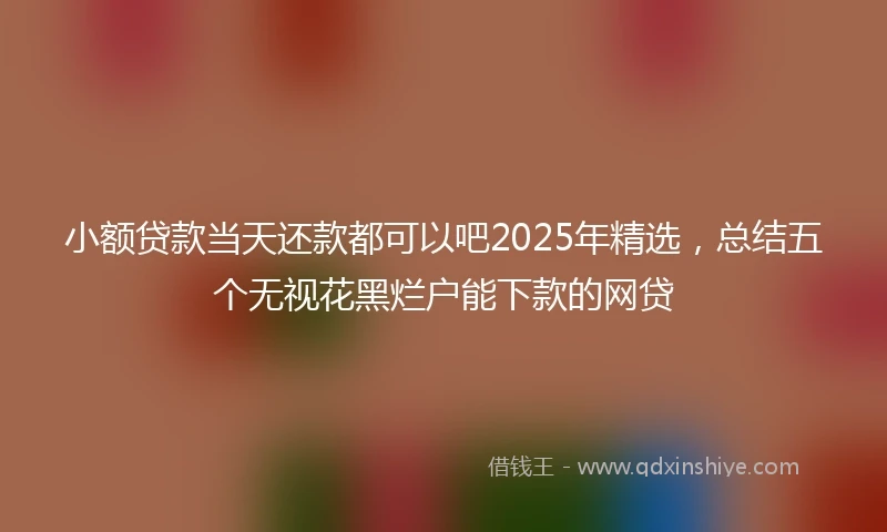 小额贷款当天还款都可以吧2025年精选，总结五个无视花黑烂户能下款的网贷