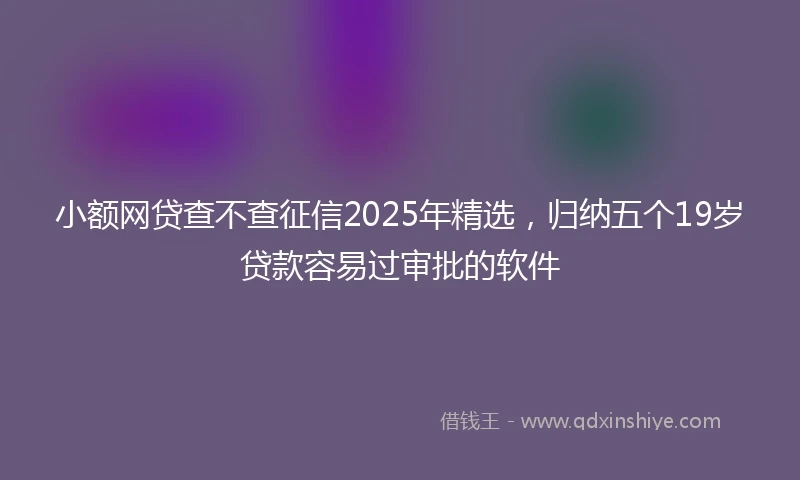 小额网贷查不查征信2025年精选，归纳五个19岁贷款容易过审批的软件